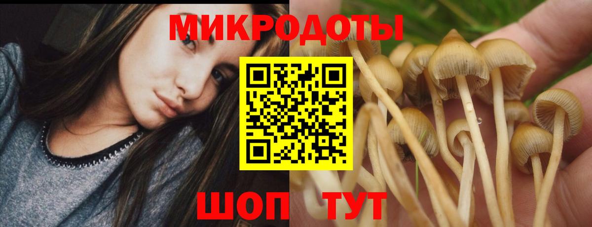 Псилоцибиновые грибы прущие грибы  Вход с VPN  Ивантеевка 