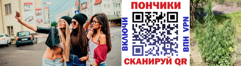 как найти закладки  Ивантеевка  Конопля White Widow 